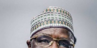 Baba Ahmadou Danpullo : parcours, fortune et entreprises Danpulo