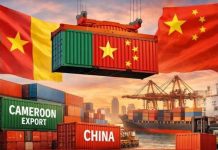 Comment expédier des marchandises depuis 1688 vers le Cameroun : guide complet pour choisir un agent fiable importer des marchandises de Chine vers le Cameroun