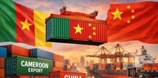 Comment expédier des marchandises depuis 1688 vers le Cameroun : guide complet pour choisir un agent fiable importer des marchandises de Chine vers le Cameroun