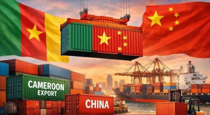 importer des marchandises de Chine vers le Cameroun importer des marchandises de Chine vers le Cameroun