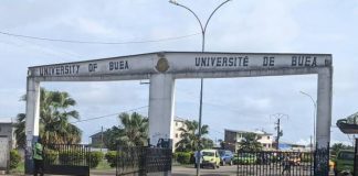 Les filières de l’Université de Buea l'Université de Buea