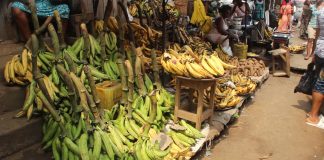 15 astuces pour réussir dans le commerce au Cameroun et augmenter vos bénéfices VENDRE LE PLAINTAIN BUSINESS