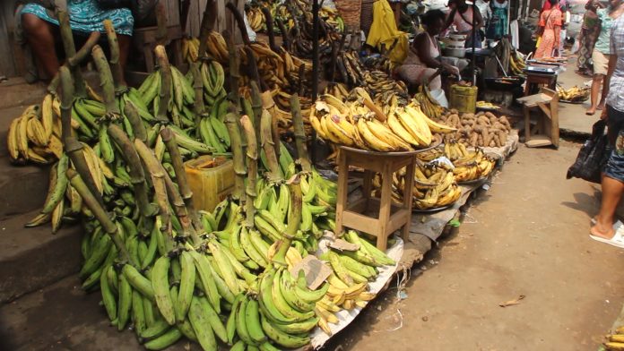 VENDRE LE PLAINTAIN BUSINESS