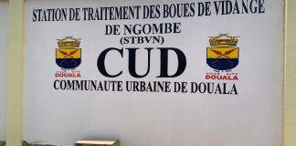Les communautés urbaines au Cameroun : rôle, missions et marchés publics mairie au Cameroun