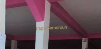Les marchés les plus modernes du Cameroun marché au Cameroun