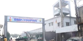 Où acheter du poisson frais au Cameroun ? marché aux poissons de Youpwè à Douala