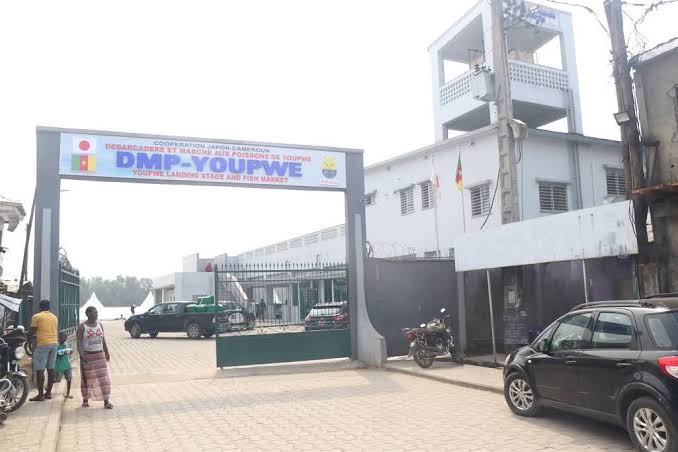 marché aux poissons de Youpwè à Douala marché aux poissons de Youpwè à Douala