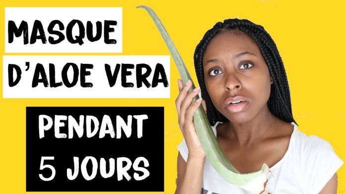 masque aloe vera et miel pour le visage