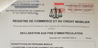 Comment obtenir le Registre du Commerce après la création d’une entreprise au Cameroun ? obtenir le Registre du Commerce