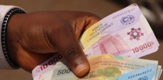 Qui est visé par l’opération Épervier au Cameroun ? opération Épervier au Cameroun