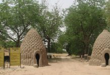 Les parcs nationaux à visiter au Cameroun en 2026 ? parcs nationaux à visiter au Cameroun