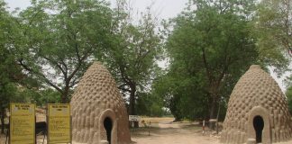 Les parcs nationaux à visiter au Cameroun en 2026 ? parcs nationaux à visiter au Cameroun