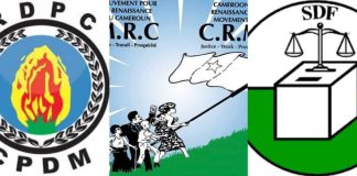 Quels sont les partis politiques au Cameroun ? partis politiques au Cameroun