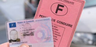 Faut-il un permis international pour conduire au Cameroun ? permis de conduire au Cameroun