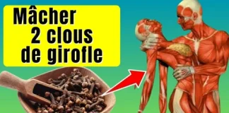 Ce que peu de personnes savent sur les clous de girofle clous de girofle