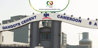 Comment postuler chez Dangote Cement Cameroun comme ingénieur ? postuler chez Dangote