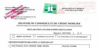 Comment obtenir un registre de commerce au Cameroun ? registre de commerce au Cameroun