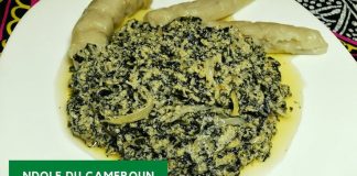 Comment réussir un ndolé crémeux ? Les secrets d’une recette traditionnelle camerounaise onctueuse réussir un ndolé crémeux