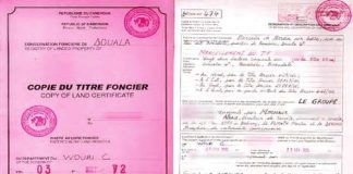 Comment acheter un terrain au Cameroun sans risque ? titre foncier au Cameroun