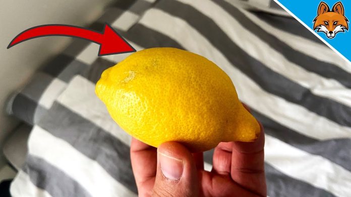 un citron sous leur lit cameroun Citron sous le it au cameroun