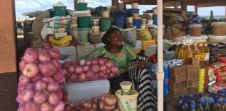 Quel business lancer au Cameroun avec 250 000 FCFA ? une petite alimentation