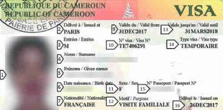 Quel est le prix du visa Cameroun ? visa pour aller au Cameroun