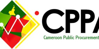 Quels sites publient les appels d’offres au Cameroun ? Minister des marhes publics du cameroun
