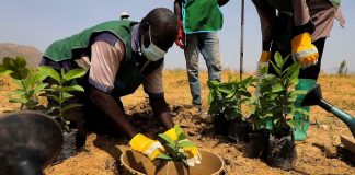 Quelles activités nature faire au Cameroun ? activités nature faire au Cameroun