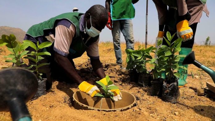 activités nature faire au Cameroun activités nature faire au Cameroun