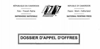 Comment lire un dossier d’appel d’offres au Cameroun ? dossier d'appel d'offres au Cameroun