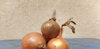 Faites ceci avec un oignon… le résultat est incroyable recette oignon