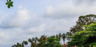 Comment trouver un guide touristique camerounais ? trouver un guide touristique camerounais